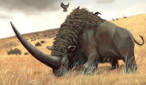 Photo: Elasmotherium Rhino