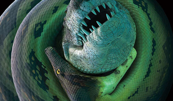 Photo: Titanoboa snake