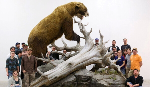 Photo: Giant short-faced bear