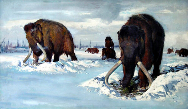 Foto: Mammoth i Rusland