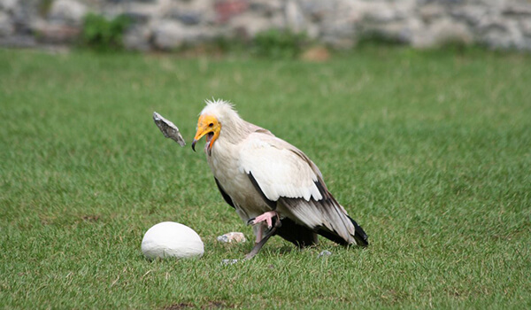 Photo: Vulture